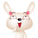 兔5.gif