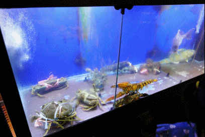 DSC02200-3.gif
