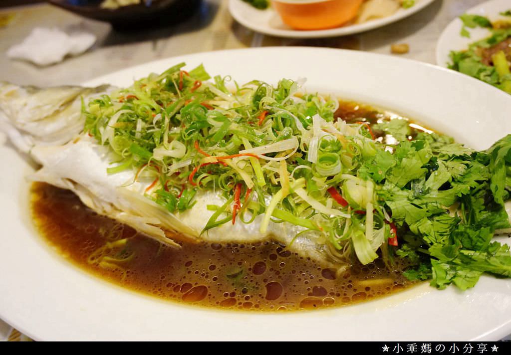 DSC02393.jpg