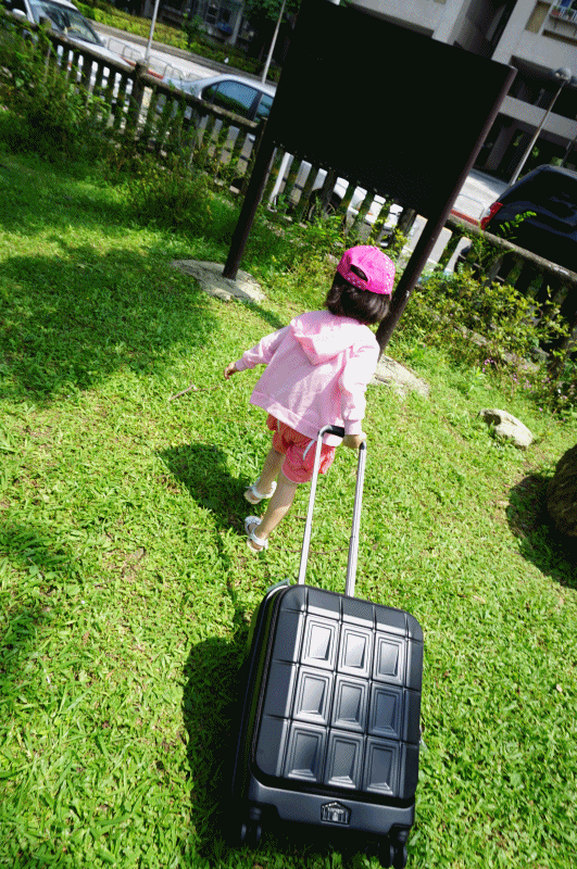 DSC08190.gif