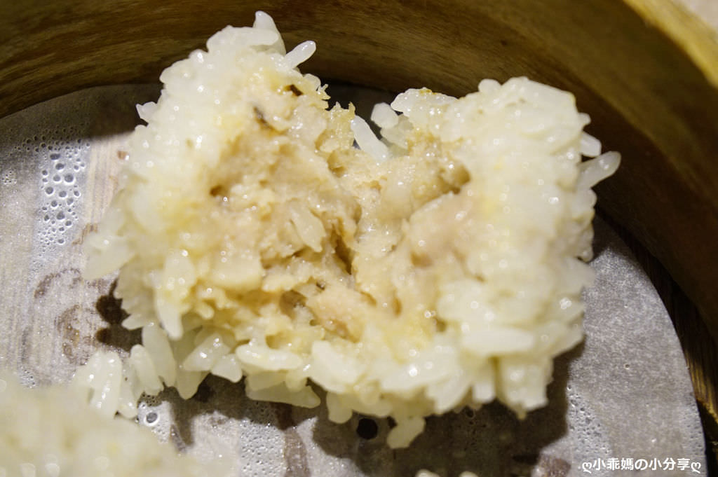 DSC08104.JPG