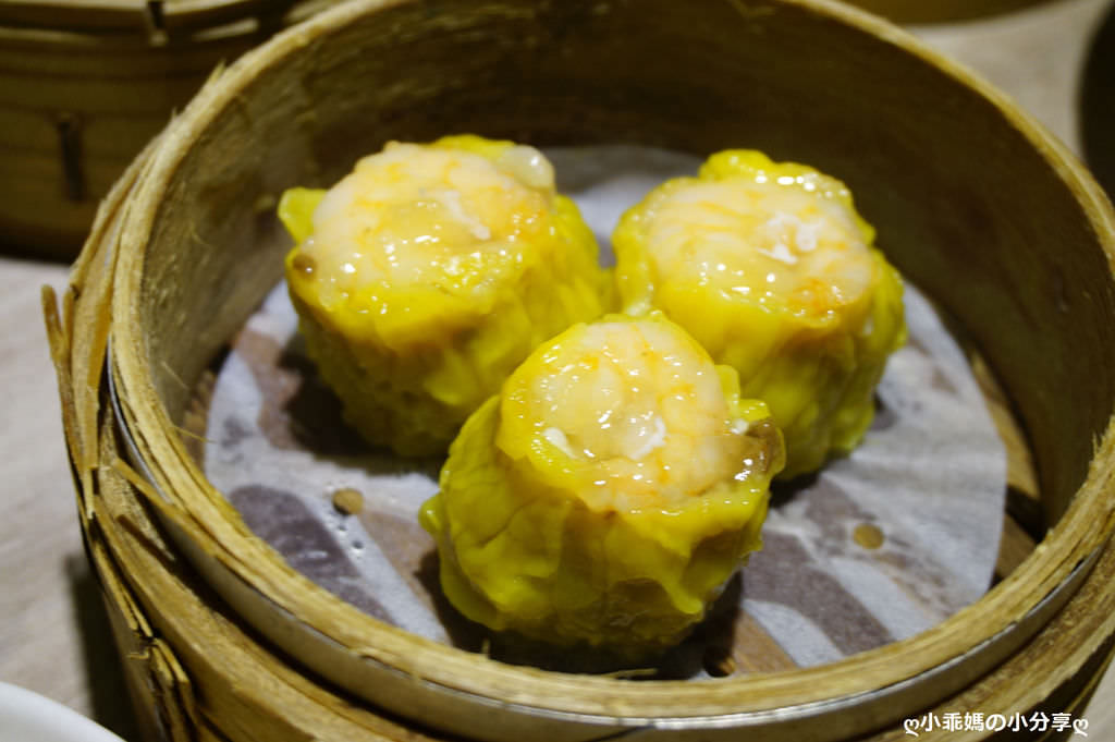 DSC08114.JPG