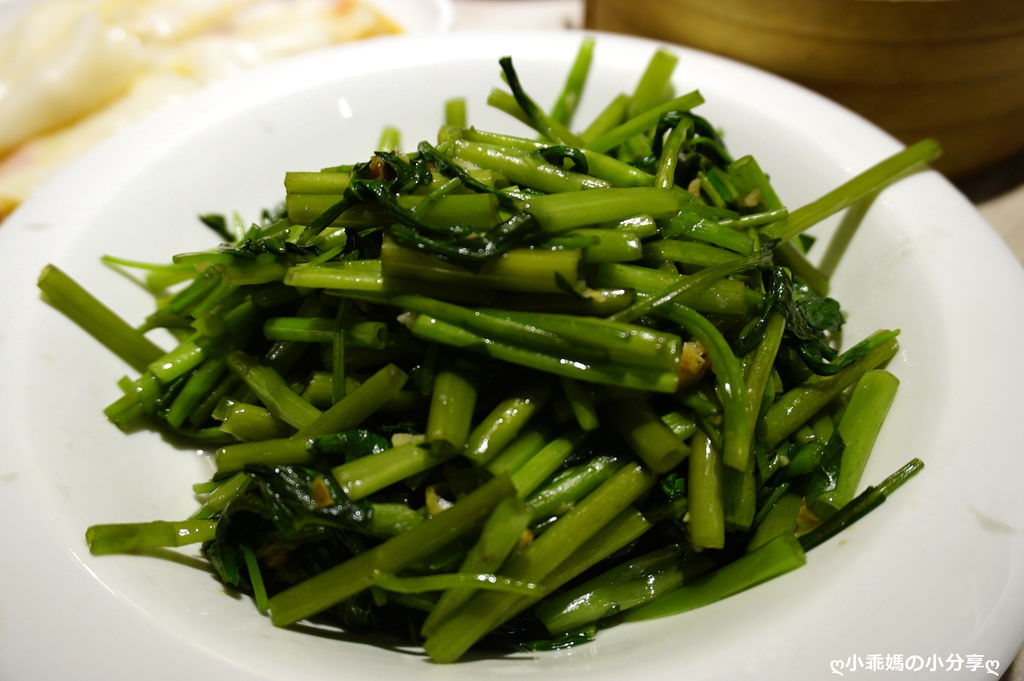 DSC08125.JPG