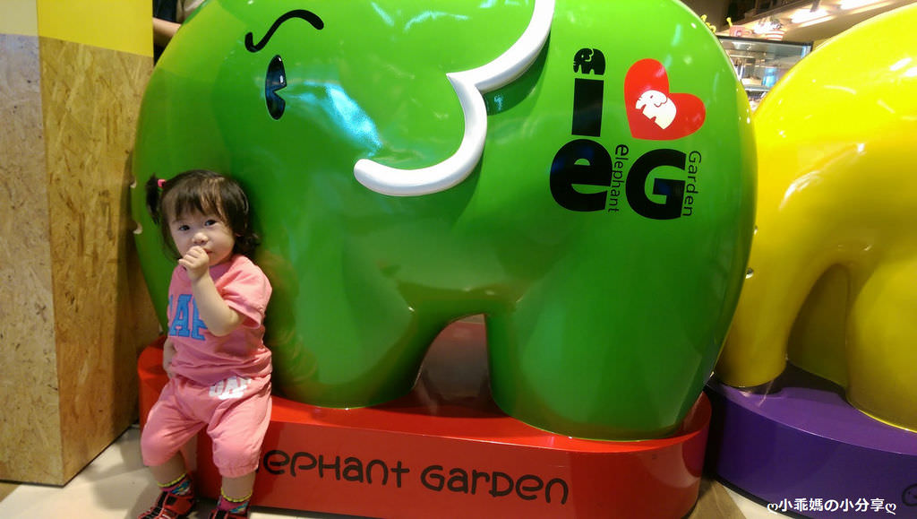 IMAG0580.jpg