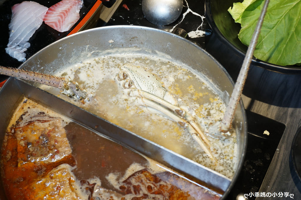 DSC03785.JPG