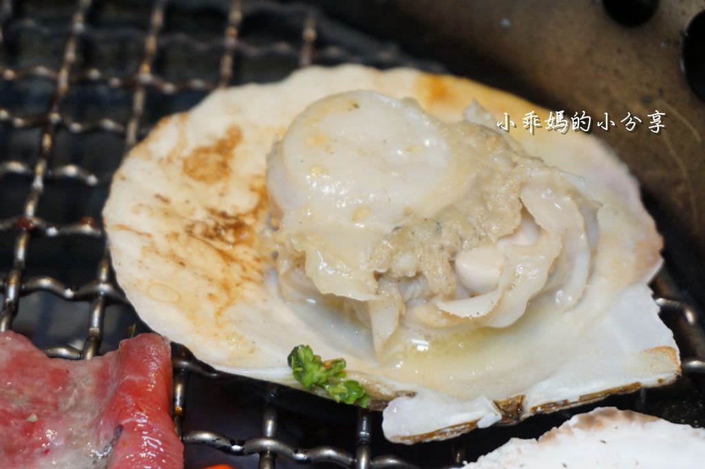 DSC04492.JPG