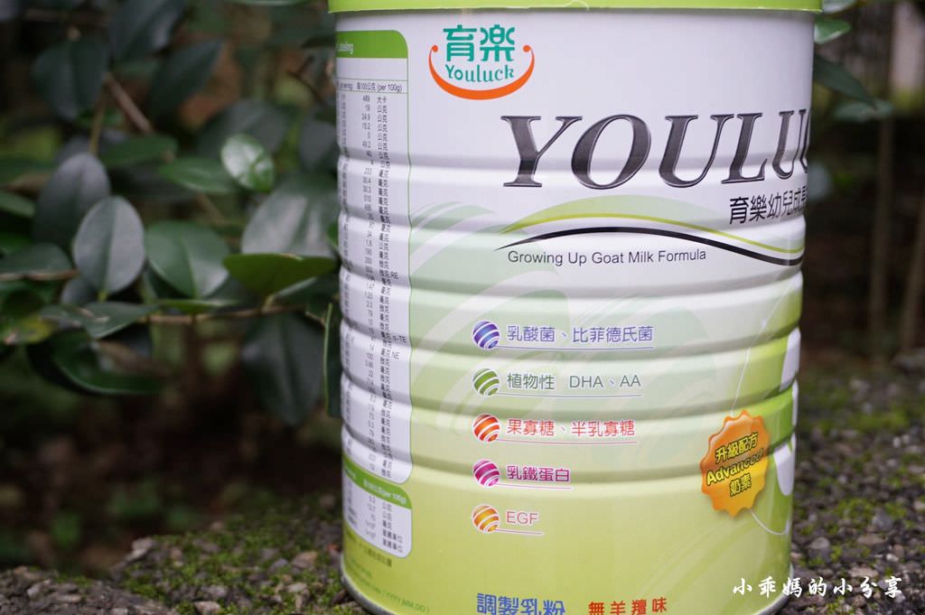 育樂7.JPG