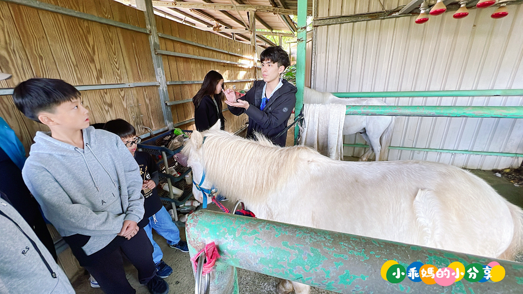新北淡水/親子騎馬體驗【佑昇馬術中心】參加小騎士體驗營超級放電！騎馬、刷馬、餵馬互動、彩繪DIY一次完成～(預約報名享300元折價券)