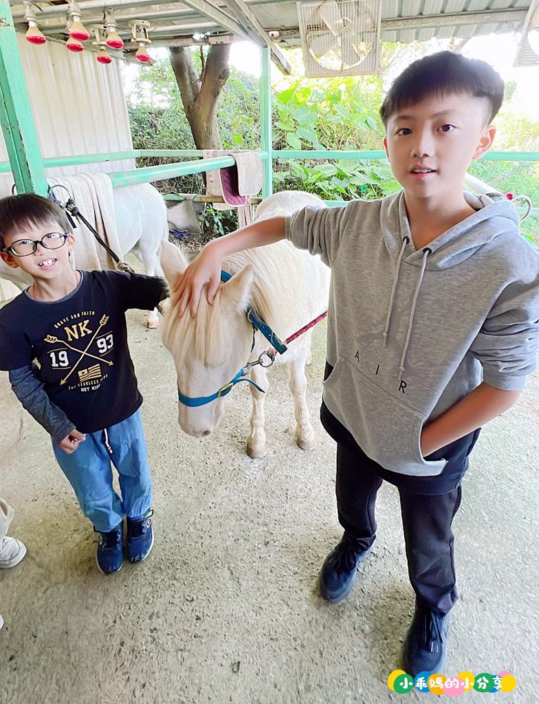新北淡水/親子騎馬體驗【佑昇馬術中心】參加小騎士體驗營超級放電！騎馬、刷馬、餵馬互動、彩繪DIY一次完成～(預約報名享300元折價券)