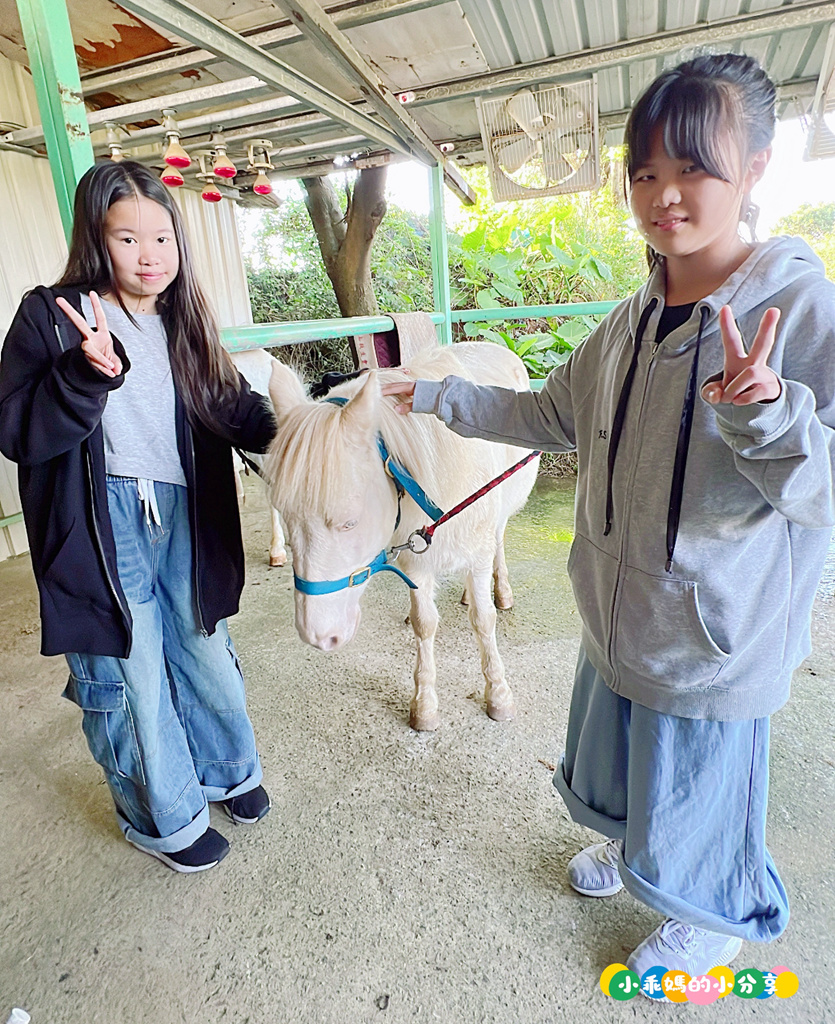 新北淡水/親子騎馬體驗【佑昇馬術中心】參加小騎士體驗營超級放電！騎馬、刷馬、餵馬互動、彩繪DIY一次完成～(預約報名享300元折價券)