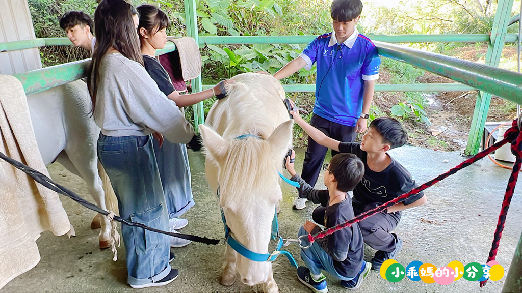 新北淡水/親子騎馬體驗【佑昇馬術中心】參加小騎士體驗營超級放電！騎馬、刷馬、餵馬互動、彩繪DIY一次完成～(預約報名享300元折價券)