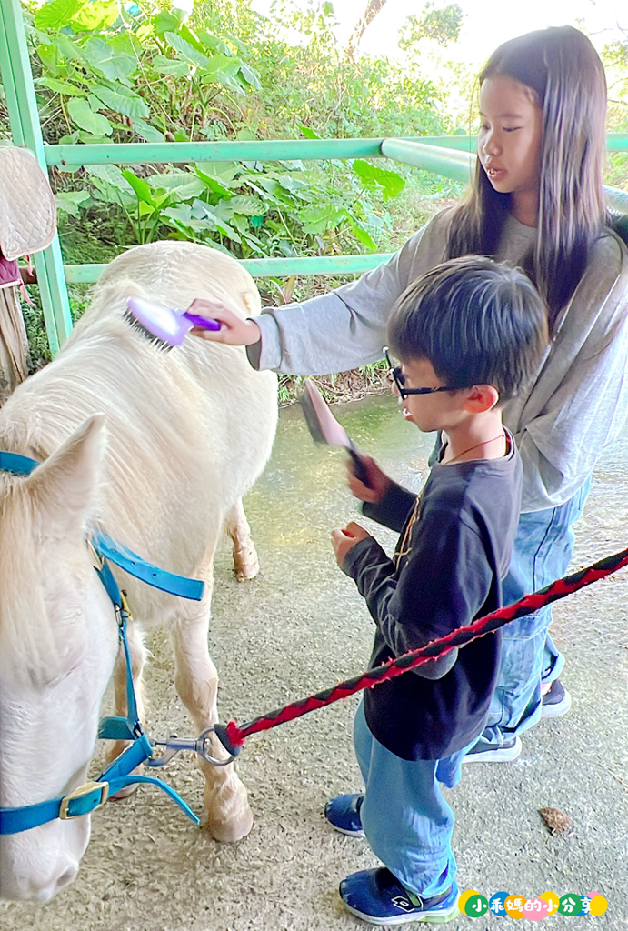 新北淡水/親子騎馬體驗【佑昇馬術中心】參加小騎士體驗營超級放電！騎馬、刷馬、餵馬互動、彩繪DIY一次完成～(預約報名享300元折價券)