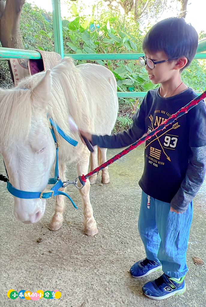 新北淡水/親子騎馬體驗【佑昇馬術中心】參加小騎士體驗營超級放電！騎馬、刷馬、餵馬互動、彩繪DIY一次完成～(預約報名享300元折價券)