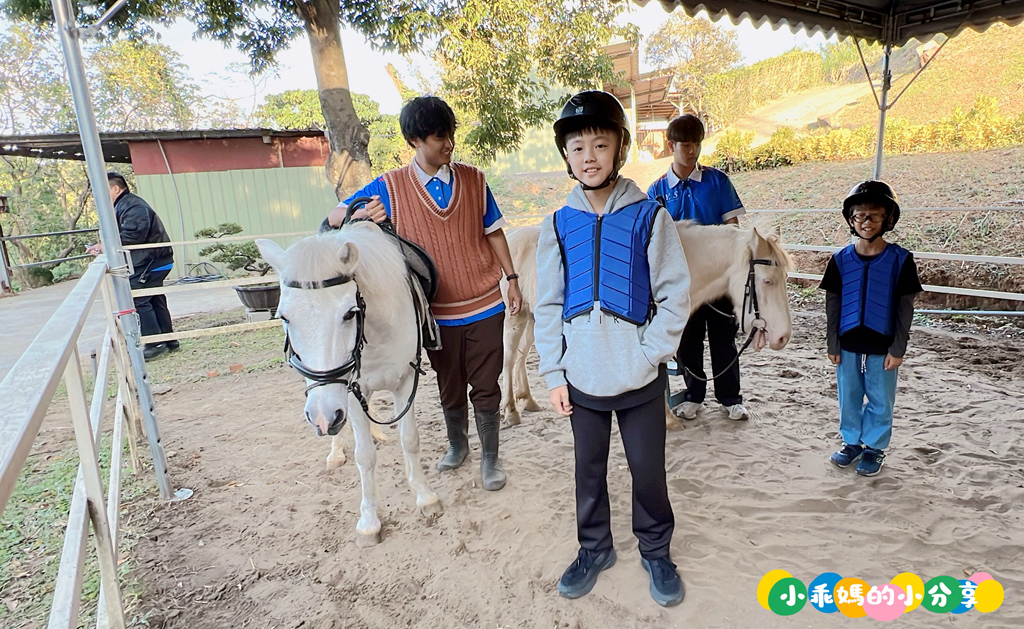 新北淡水/親子騎馬體驗【佑昇馬術中心】參加小騎士體驗營超級放電！騎馬、刷馬、餵馬互動、彩繪DIY一次完成～(預約報名享300元折價券)