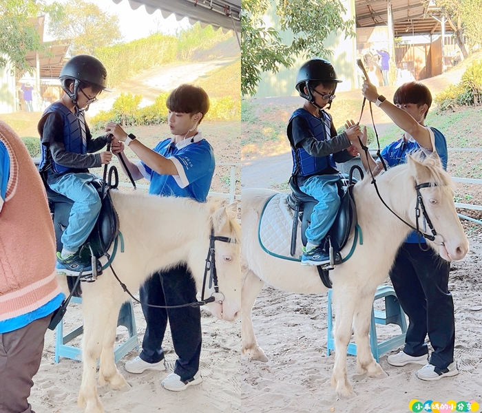 新北淡水/親子騎馬體驗【佑昇馬術中心】參加小騎士體驗營超級放電！騎馬、刷馬、餵馬互動、彩繪DIY一次完成～(預約報名享300元折價券)