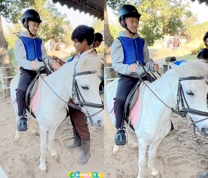 新北淡水/親子騎馬體驗【佑昇馬術中心】參加小騎士體驗營超級放電！騎馬、刷馬、餵馬互動、彩繪DIY一次完成～(預約報名享300元折價券)