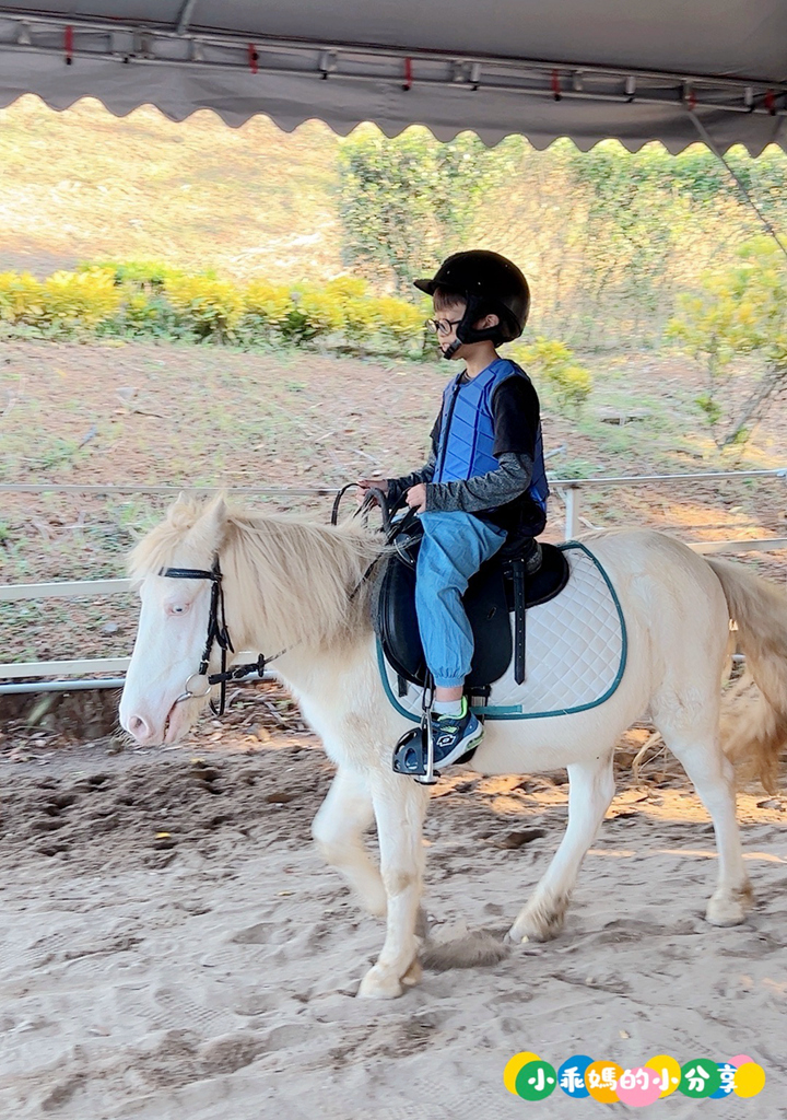 新北淡水/親子騎馬體驗【佑昇馬術中心】參加小騎士體驗營超級放電！騎馬、刷馬、餵馬互動、彩繪DIY一次完成～(預約報名享300元折價券)