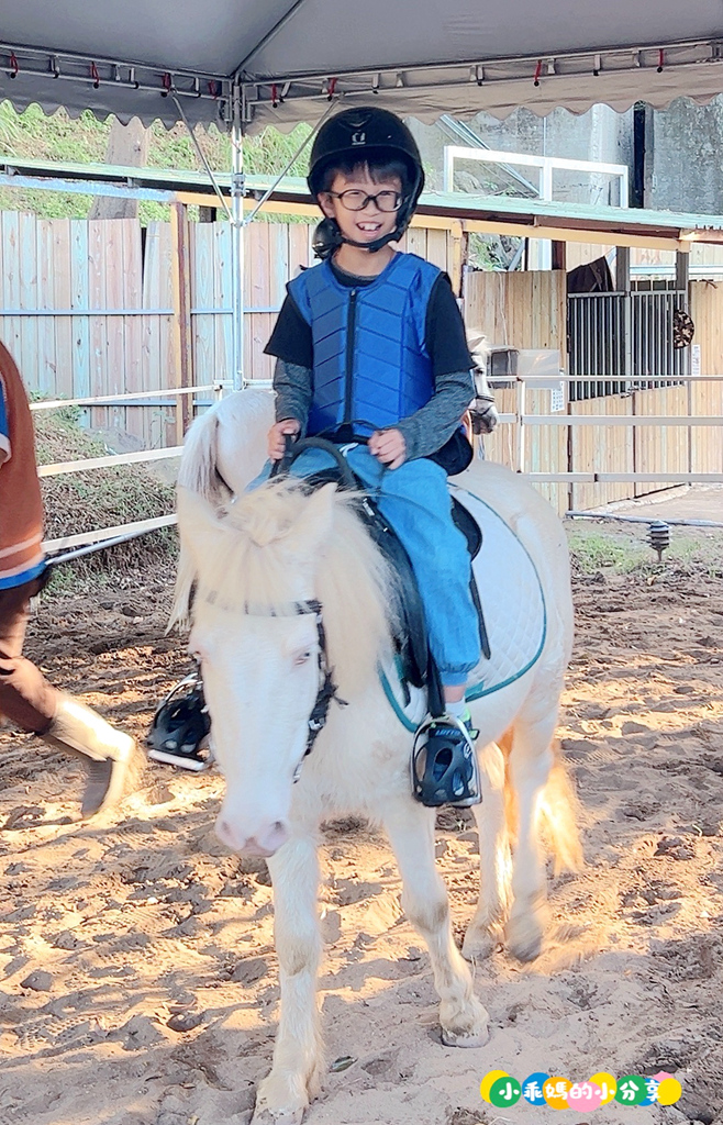新北淡水/親子騎馬體驗【佑昇馬術中心】參加小騎士體驗營超級放電！騎馬、刷馬、餵馬互動、彩繪DIY一次完成～(預約報名享300元折價券)
