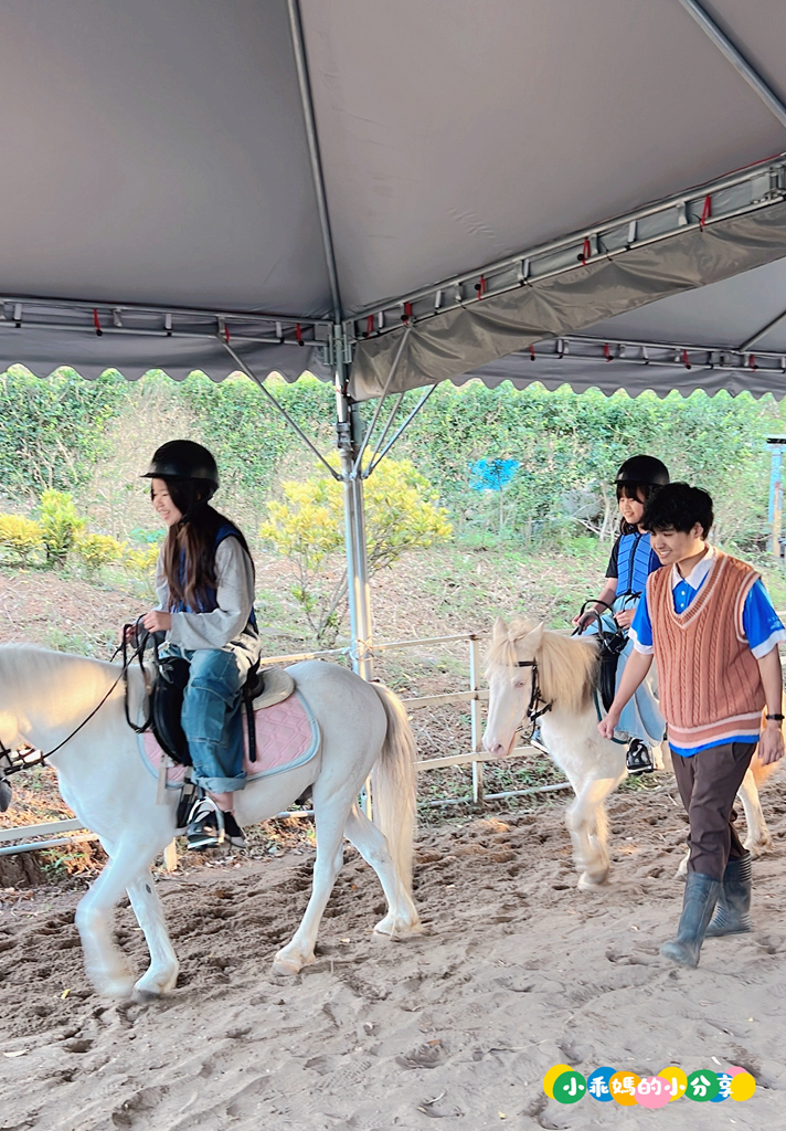 新北淡水/親子騎馬體驗【佑昇馬術中心】參加小騎士體驗營超級放電！騎馬、刷馬、餵馬互動、彩繪DIY一次完成～(預約報名享300元折價券)