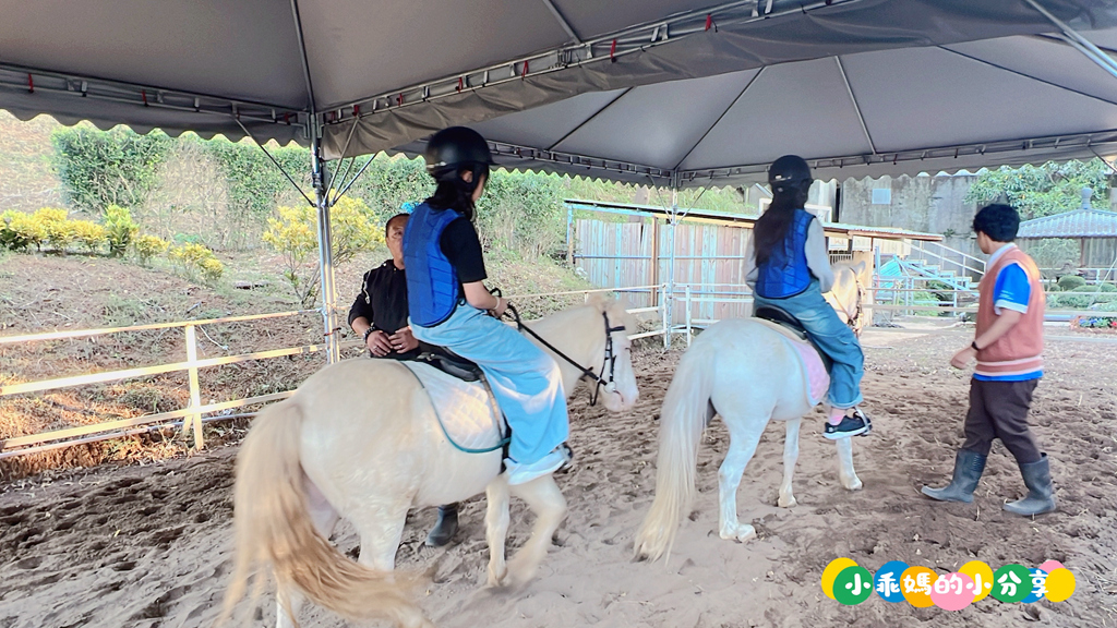 新北淡水/親子騎馬體驗【佑昇馬術中心】參加小騎士體驗營超級放電！騎馬、刷馬、餵馬互動、彩繪DIY一次完成～(預約報名享300元折價券)