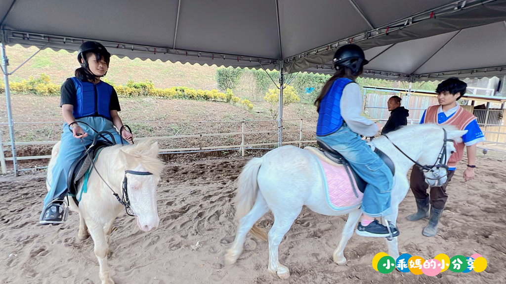 新北淡水/親子騎馬體驗【佑昇馬術中心】參加小騎士體驗營超級放電！騎馬、刷馬、餵馬互動、彩繪DIY一次完成～(預約報名享300元折價券)