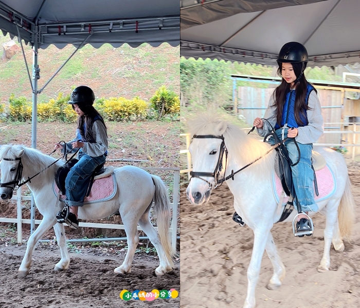 新北淡水/親子騎馬體驗【佑昇馬術中心】參加小騎士體驗營超級放電！騎馬、刷馬、餵馬互動、彩繪DIY一次完成～(預約報名享300元折價券)