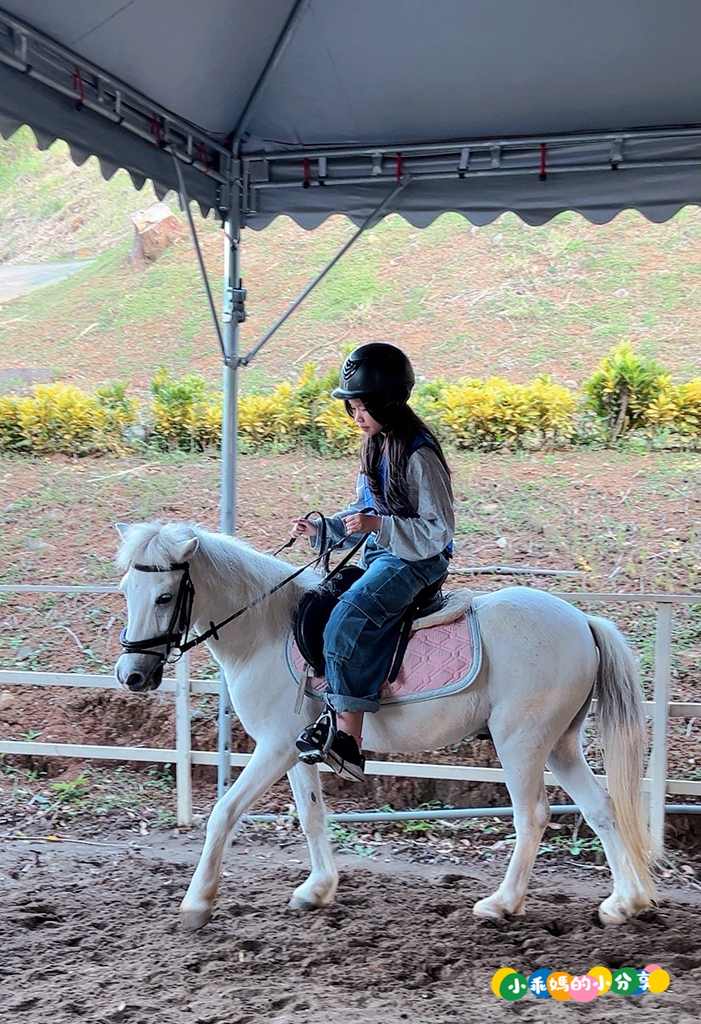 新北淡水/親子騎馬體驗【佑昇馬術中心】參加小騎士體驗營超級放電！騎馬、刷馬、餵馬互動、彩繪DIY一次完成～(預約報名享300元折價券)
