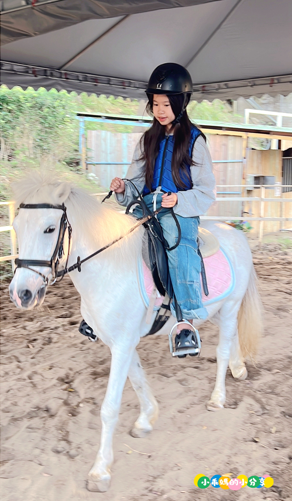 新北淡水/親子騎馬體驗【佑昇馬術中心】參加小騎士體驗營超級放電！騎馬、刷馬、餵馬互動、彩繪DIY一次完成～(預約報名享300元折價券)
