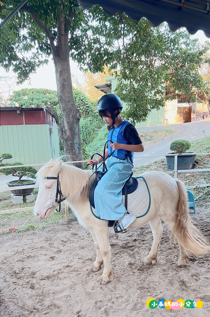 新北淡水/親子騎馬體驗【佑昇馬術中心】參加小騎士體驗營超級放電！騎馬、刷馬、餵馬互動、彩繪DIY一次完成～(預約報名享300元折價券)