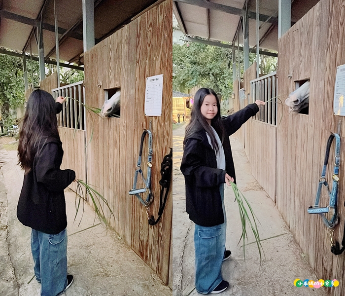 新北淡水/親子騎馬體驗【佑昇馬術中心】參加小騎士體驗營超級放電！騎馬、刷馬、餵馬互動、彩繪DIY一次完成～(預約報名享300元折價券)