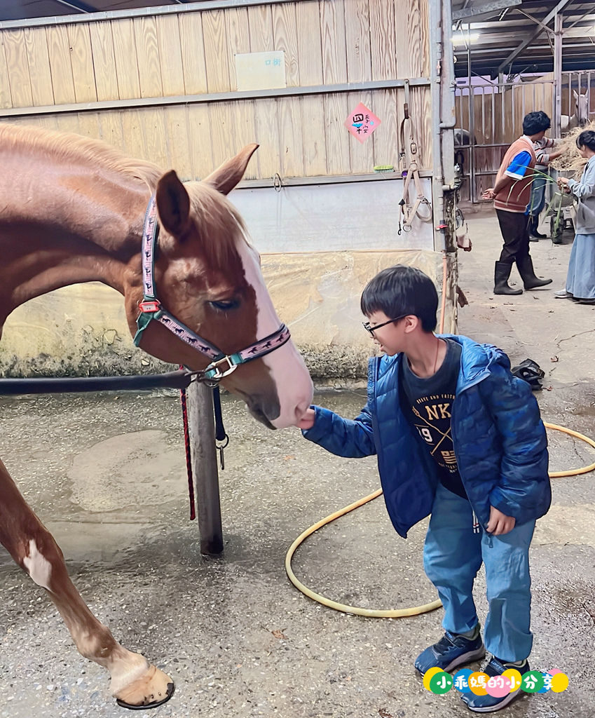 新北淡水/親子騎馬體驗【佑昇馬術中心】參加小騎士體驗營超級放電！騎馬、刷馬、餵馬互動、彩繪DIY一次完成～(預約報名享300元折價券)