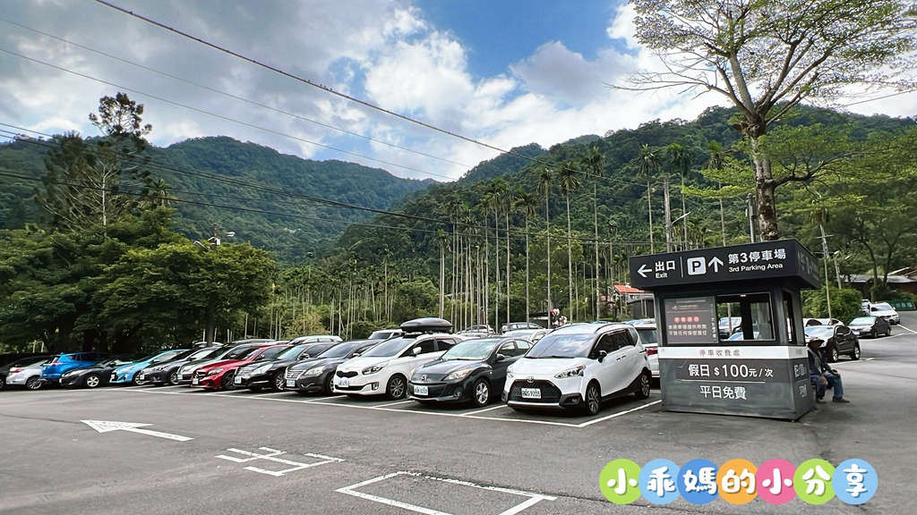 【新北親子飯店推薦】大板根森林溫泉酒店「恐龍森境探索」一泊二食!超震撼7米巨型金剛、古生物實驗室、花式籃球、露天SPA與戶外泳池,兩天一夜超充實全攻略! - 第3張圖 【新北親子飯店推薦】大板根森林溫泉酒店「恐龍森境探索」一泊二食!超震撼7米巨型金剛、古生物實驗室、花式籃球、露天SPA與戶外泳池,兩天一夜超充實全攻略!