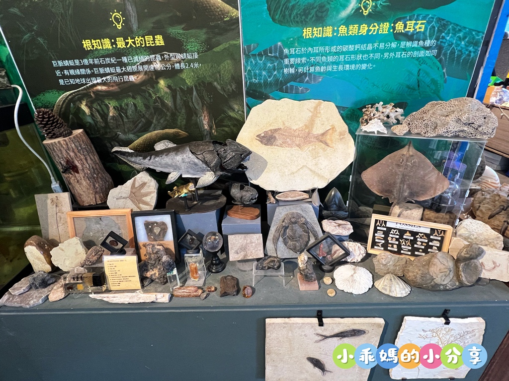 【新北親子飯店推薦】大板根森林溫泉酒店「恐龍森境探索」一泊二食!超震撼7米巨型金剛、古生物實驗室、花式籃球、露天SPA與戶外泳池,兩天一夜超充實全攻略! - 第9張圖 【新北親子飯店推薦】大板根森林溫泉酒店「恐龍森境探索」一泊二食!超震撼7米巨型金剛、古生物實驗室、花式籃球、露天SPA與戶外泳池,兩天一夜超充實全攻略!