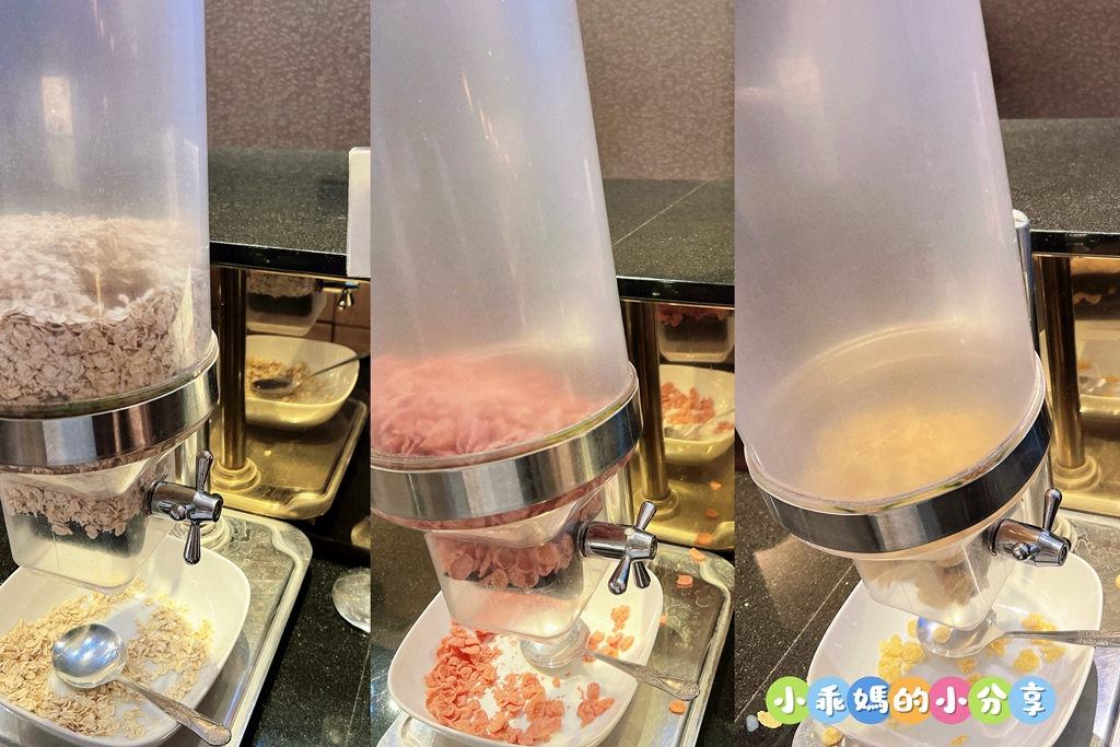 【新北親子飯店推薦】大板根森林溫泉酒店「恐龍森境探索」一泊二食!超震撼7米巨型金剛、古生物實驗室、花式籃球、露天SPA與戶外泳池,兩天一夜超充實全攻略! - 第81張圖 【新北親子飯店推薦】大板根森林溫泉酒店「恐龍森境探索」一泊二食!超震撼7米巨型金剛、古生物實驗室、花式籃球、露天SPA與戶外泳池,兩天一夜超充實全攻略!