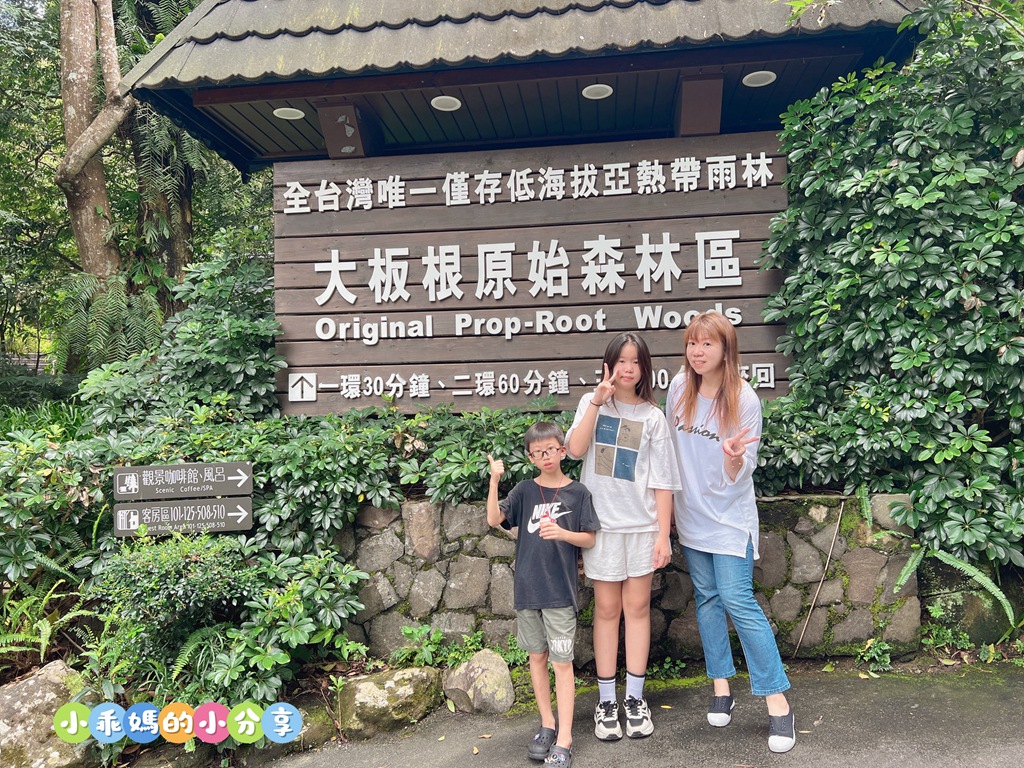 【新北親子飯店推薦】大板根森林溫泉酒店「恐龍森境探索」一泊二食!超震撼7米巨型金剛、古生物實驗室、花式籃球、露天SPA與戶外泳池,兩天一夜超充實全攻略! - 第85張圖 【新北親子飯店推薦】大板根森林溫泉酒店「恐龍森境探索」一泊二食!超震撼7米巨型金剛、古生物實驗室、花式籃球、露天SPA與戶外泳池,兩天一夜超充實全攻略!