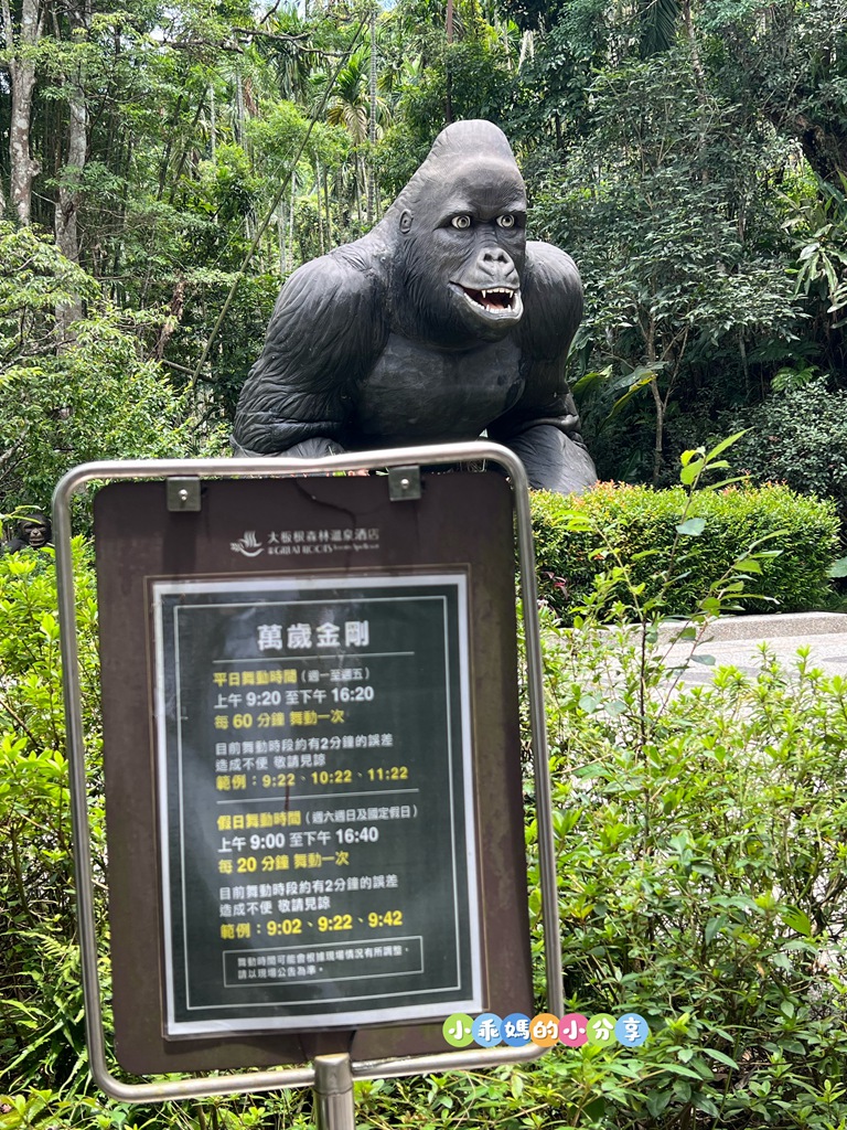 【新北親子飯店推薦】大板根森林溫泉酒店「恐龍森境探索」一泊二食!超震撼7米巨型金剛、古生物實驗室、花式籃球、露天SPA與戶外泳池,兩天一夜超充實全攻略! - 第89張圖 【新北親子飯店推薦】大板根森林溫泉酒店「恐龍森境探索」一泊二食!超震撼7米巨型金剛、古生物實驗室、花式籃球、露天SPA與戶外泳池,兩天一夜超充實全攻略!